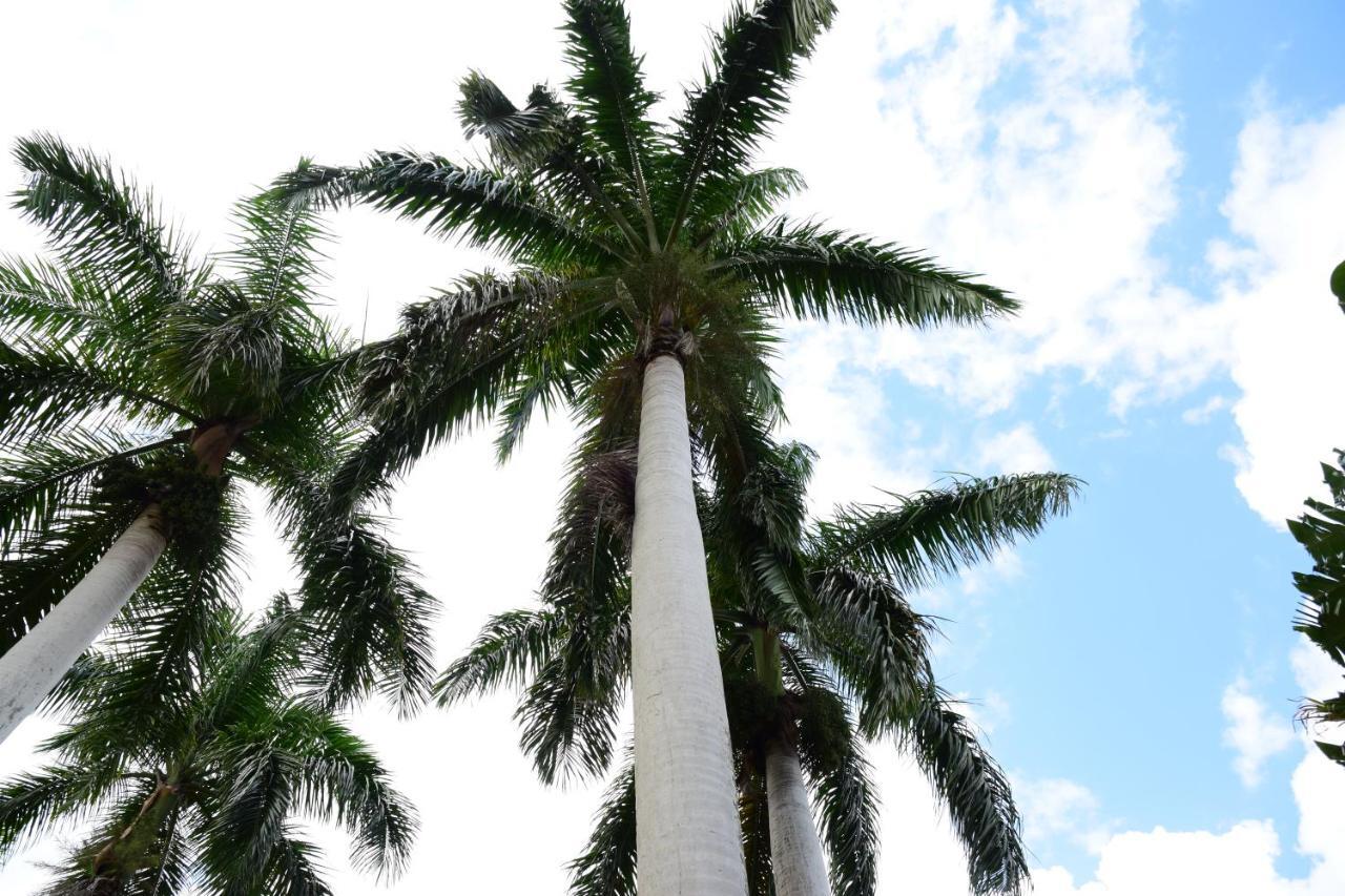 River Side Apt 9 @ Mystic Ridge. Ocho Rios Exterior foto